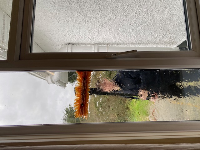 window cleaning